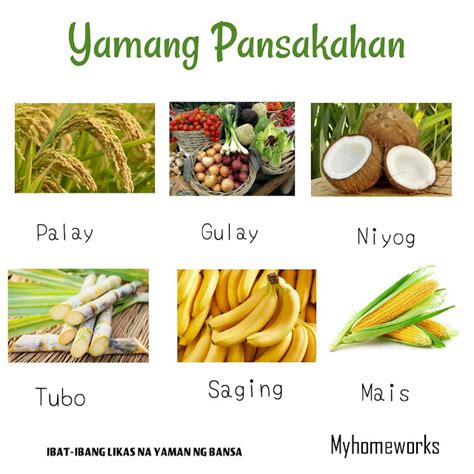 Halimbawa ng mga yamang pansakahan,yamang .